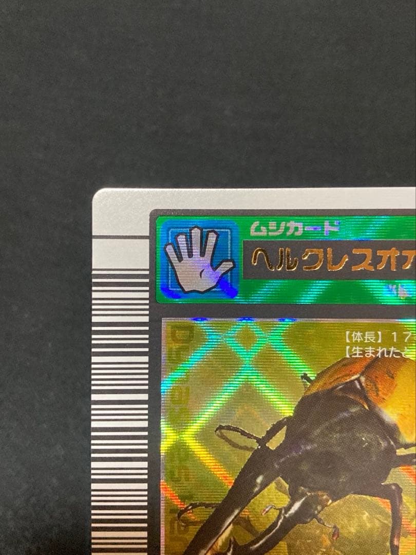 またこ ヘルクレスオオカブト2003 SPRING春 学名黒バーコードキラ