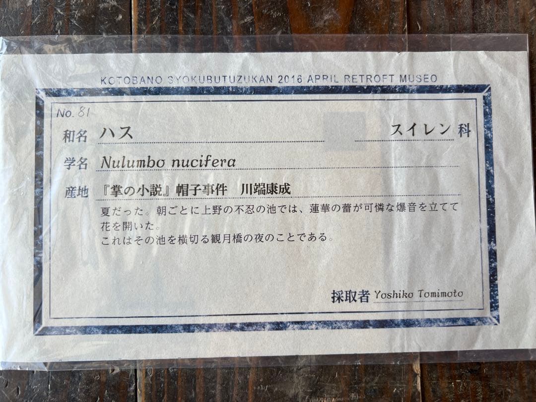 Nutel 渡邊笑理 アートパネル 45.4cm×19.8cm