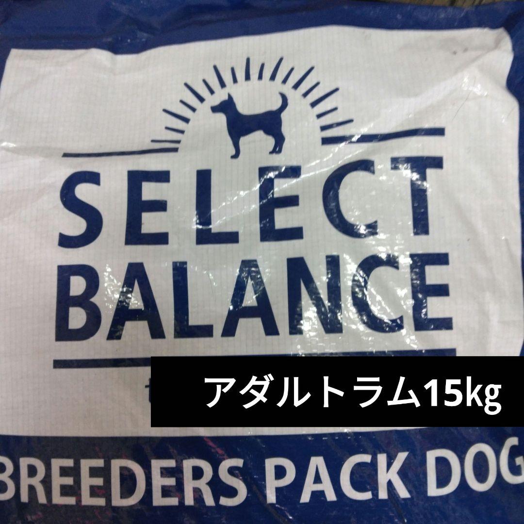 2026年カレンダー付き ドッグフード セレクトバランスアダルトラム