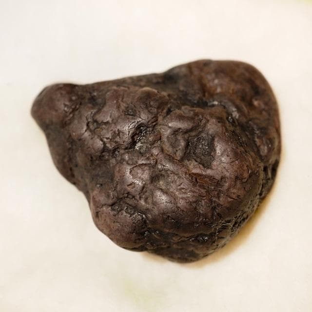 宝永溶岩 骨董品 富士山 古物 時代物 コレクション 江戸時代 木箱入 55