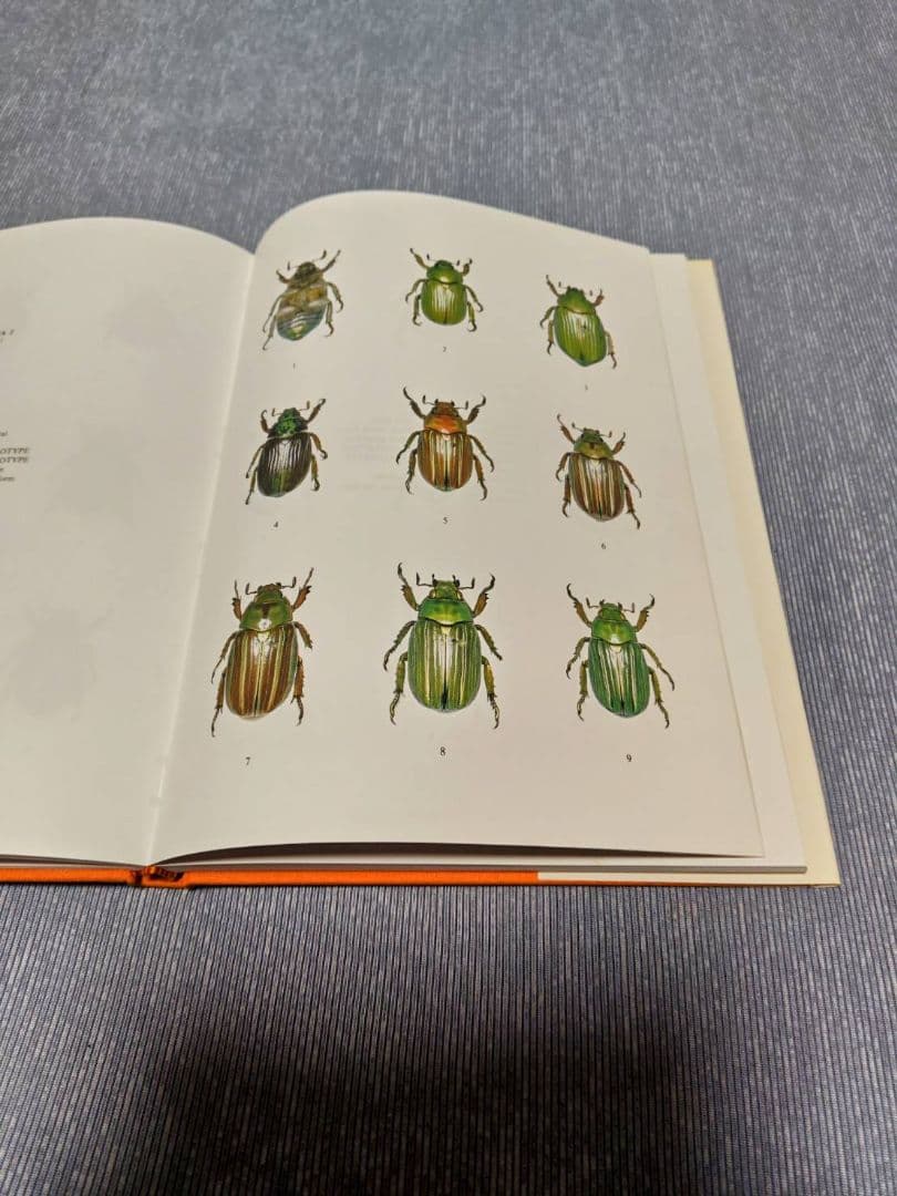 昆虫標本　プラチナコガネ文献