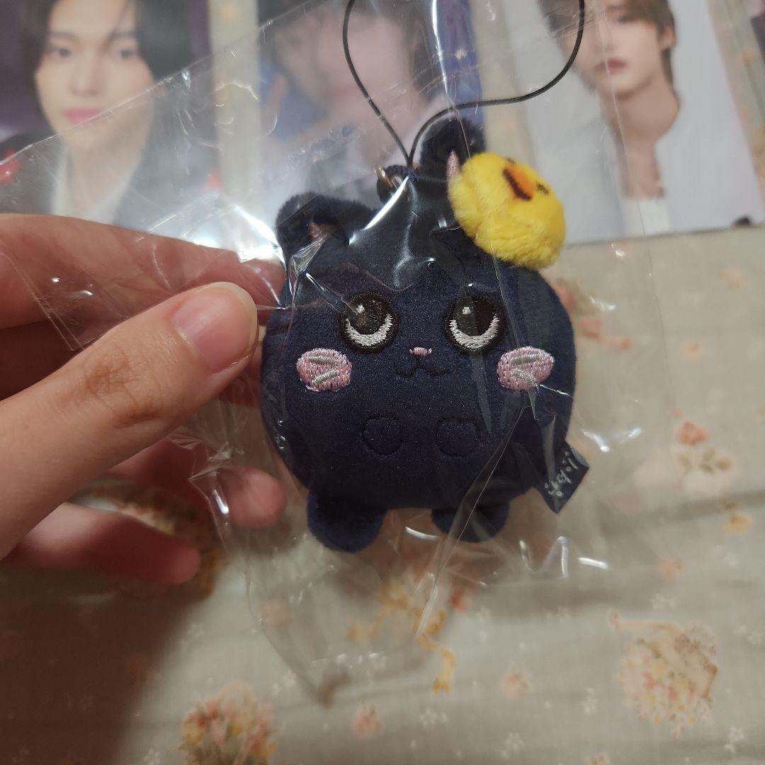 RIIZE トニャンドク - メルカリ