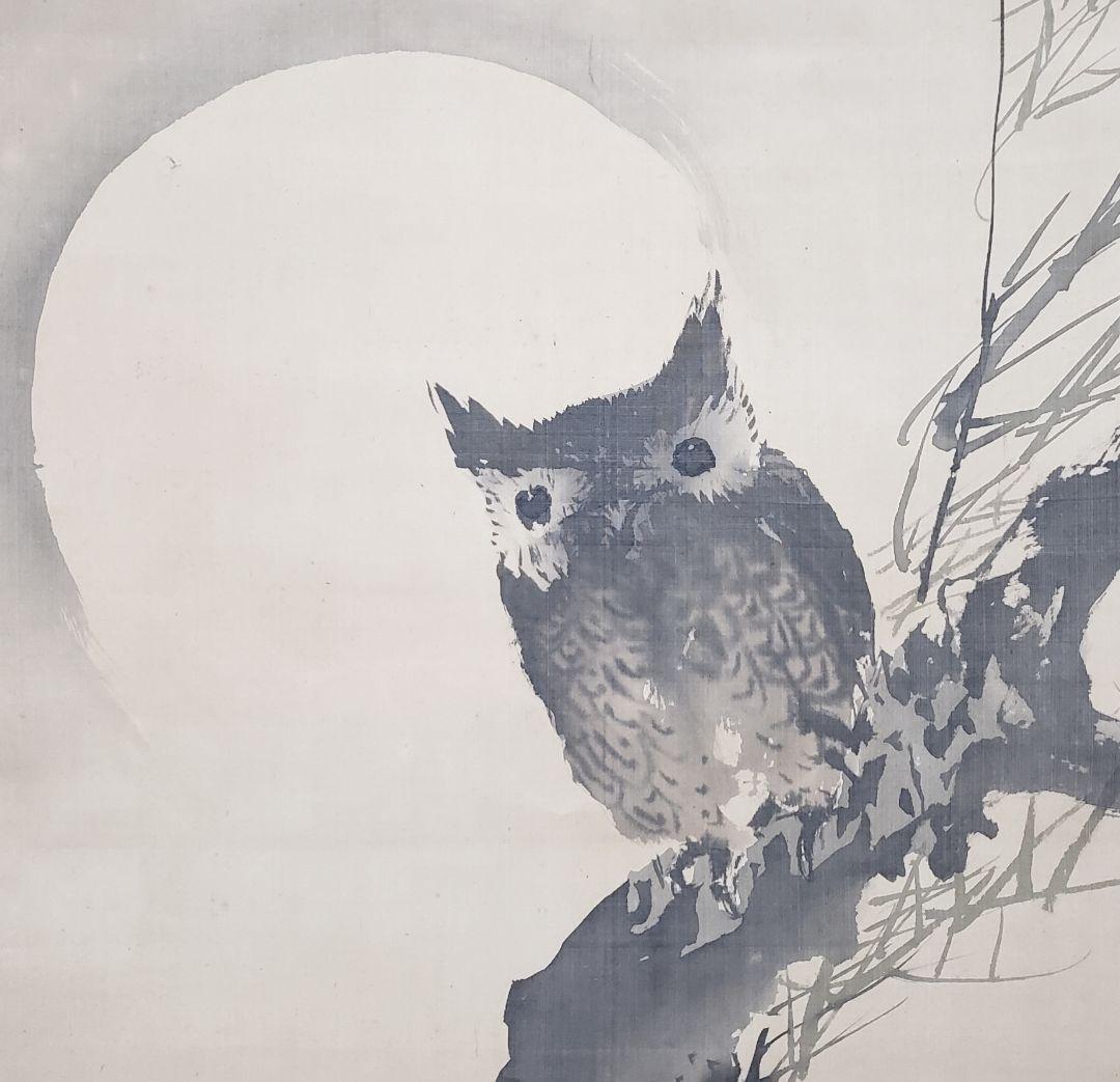 月下柳に木菟図】福井江亭 2584 ミミズク 梟 掛け軸 肉筆 - メルカリ