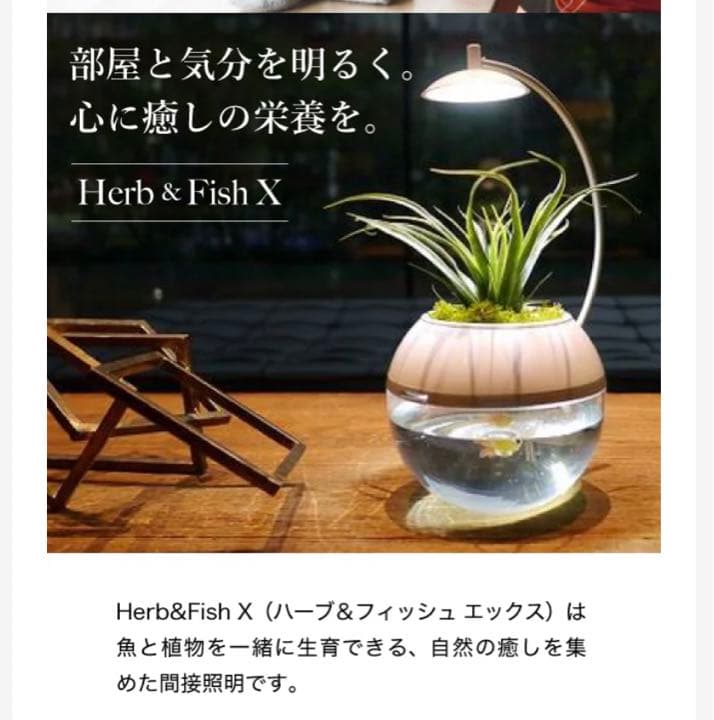 Herb&FishX アクアポニックス水槽