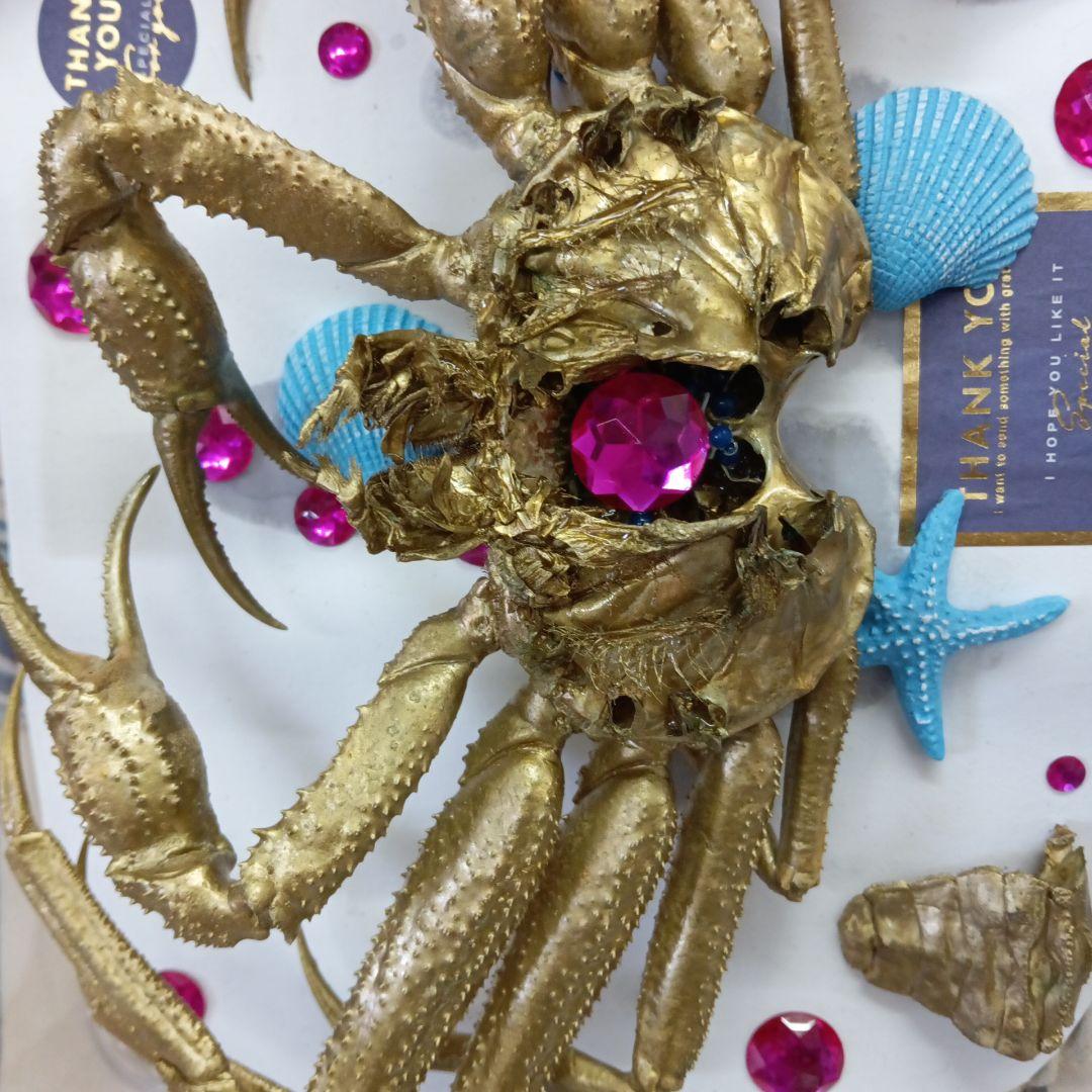 松葉蟹[セコガニ］ゴールドカラーオリジナル全長23センチ立体リアル
