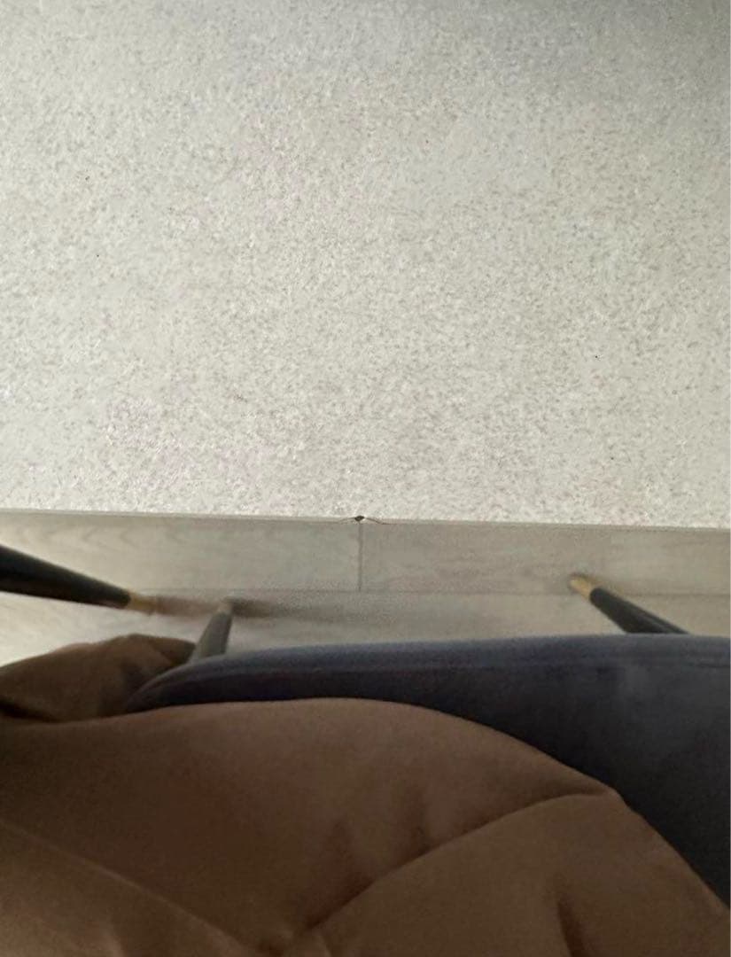 ユウ様 カリガリス ダイニングテーブル