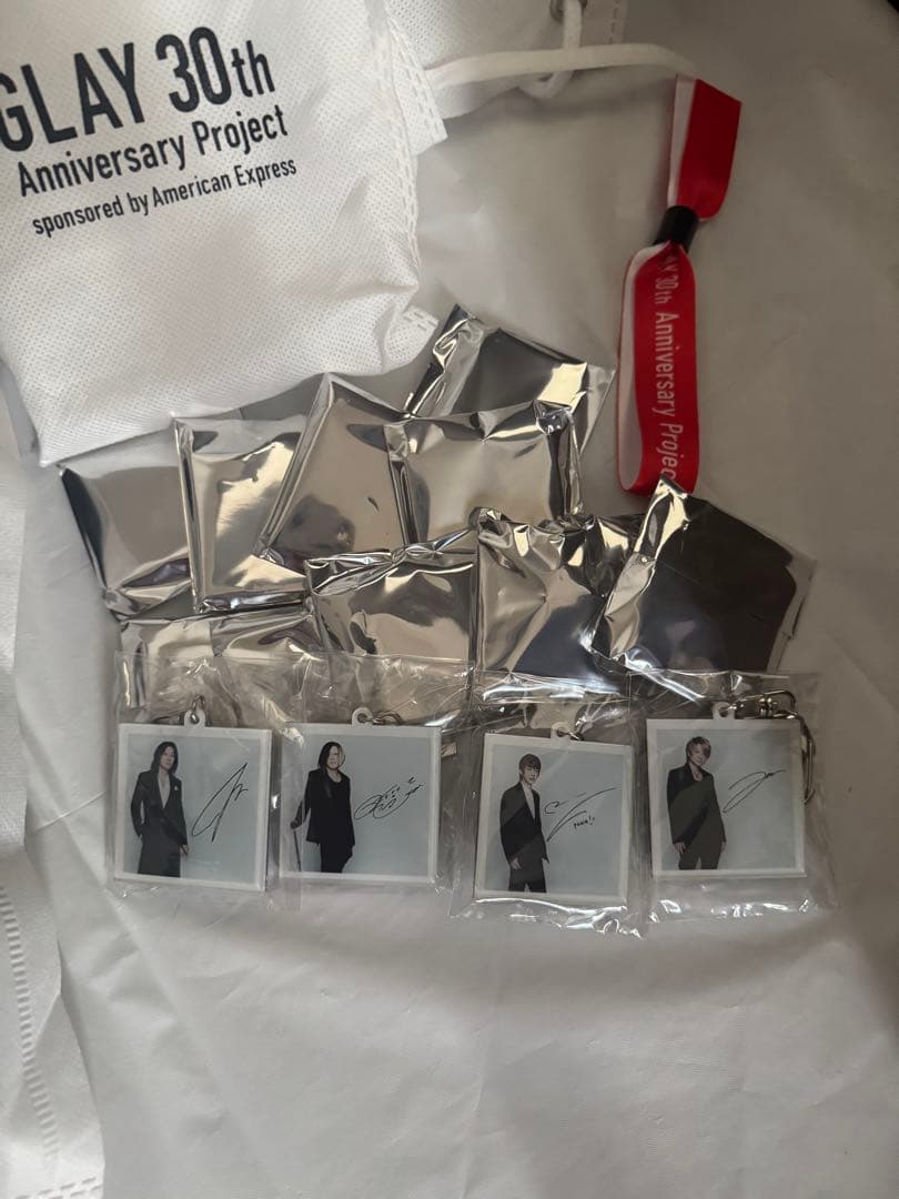 GLAY AMEX ギター型バッグ 特典 アメックス「GLAY 30th Anniversary