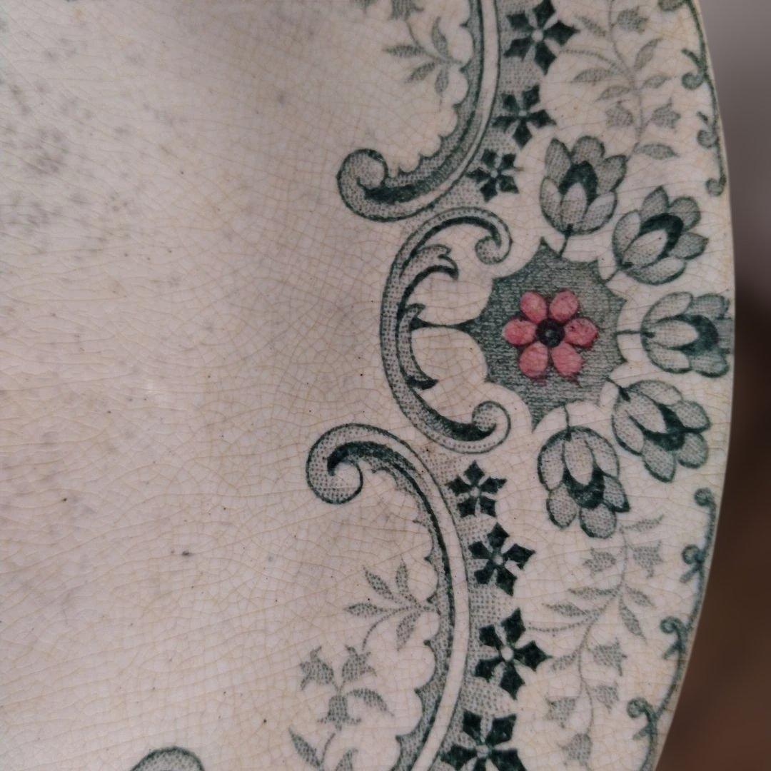 ライン他あり・ショワジールロワプレート・切り花/フランス