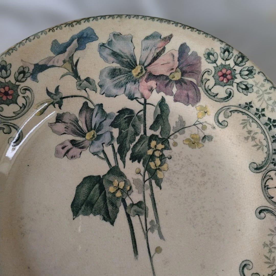 ライン他あり・ショワジールロワプレート・切り花/フランス