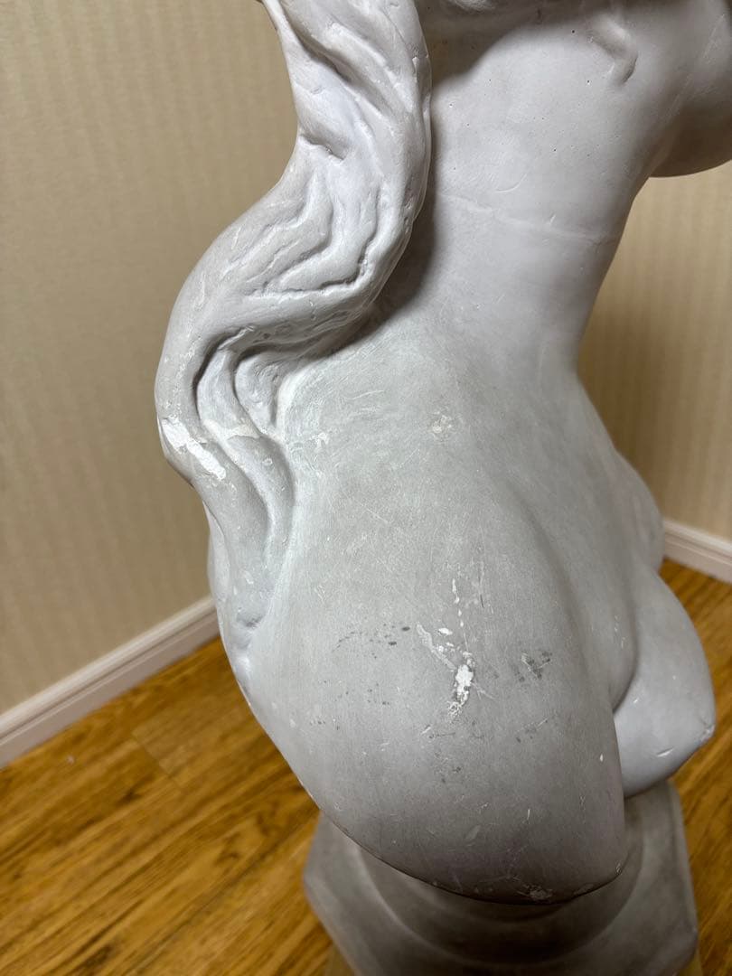石膏像 カピトリーノのヴィーナス胸像(カッパ) 大型 - メルカリ