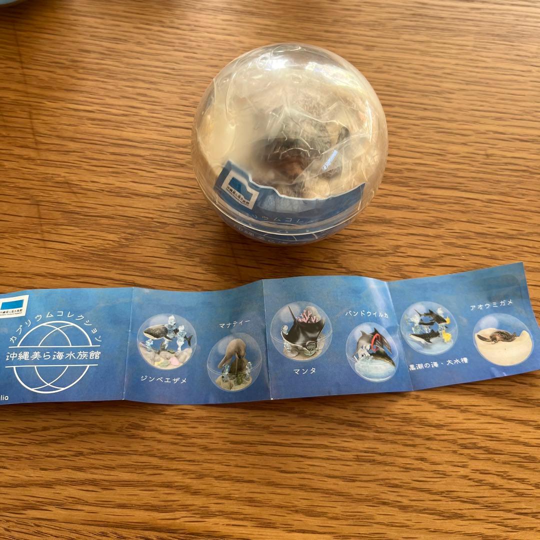 新品未開封】沖縄美ら海水族館 ガチャガチャ カプリウムコレクション