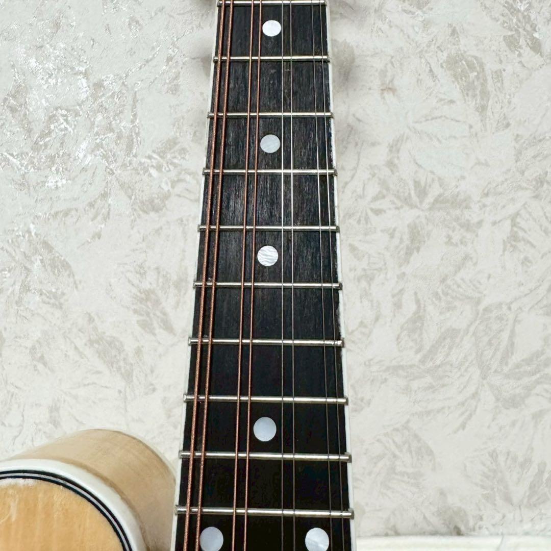 希少美品』Mylowe フラットマンドリン ハードケース付き - メルカリ