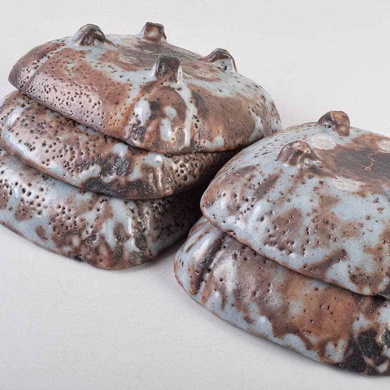 和食器 美土里窯 鼠志野 草文 向付 五客 共箱 M R9246B - メルカリ