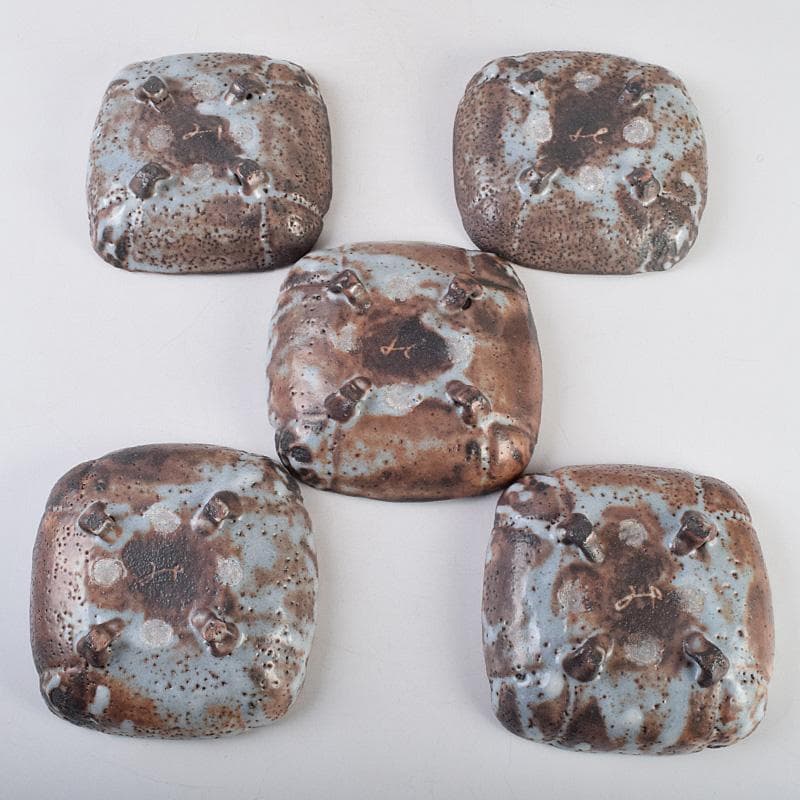 和食器 美土里窯 鼠志野 草文 向付 五客 共箱 M R9246B - メルカリ