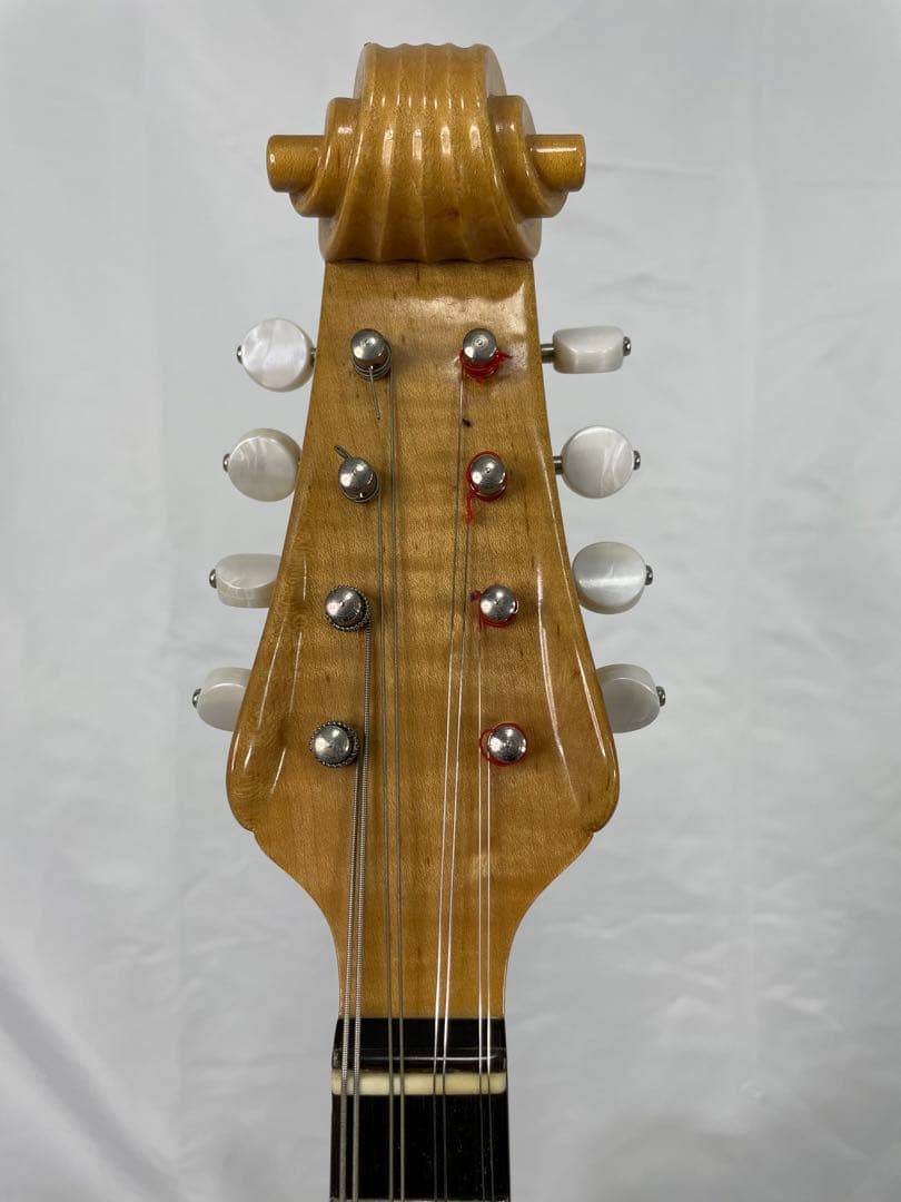 suzuki/スズキ マンドリン M-150 最上位機種