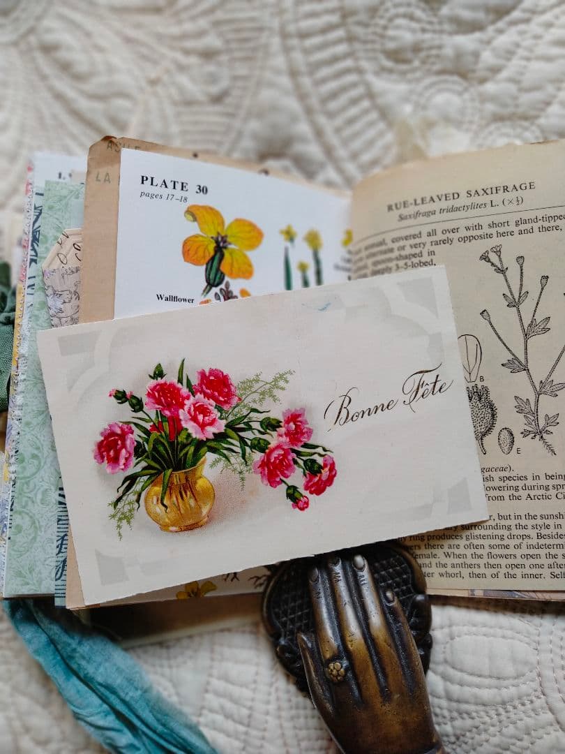 ジャンクジャーナル ポストカードブック Nature 手書き 図鑑 手作り