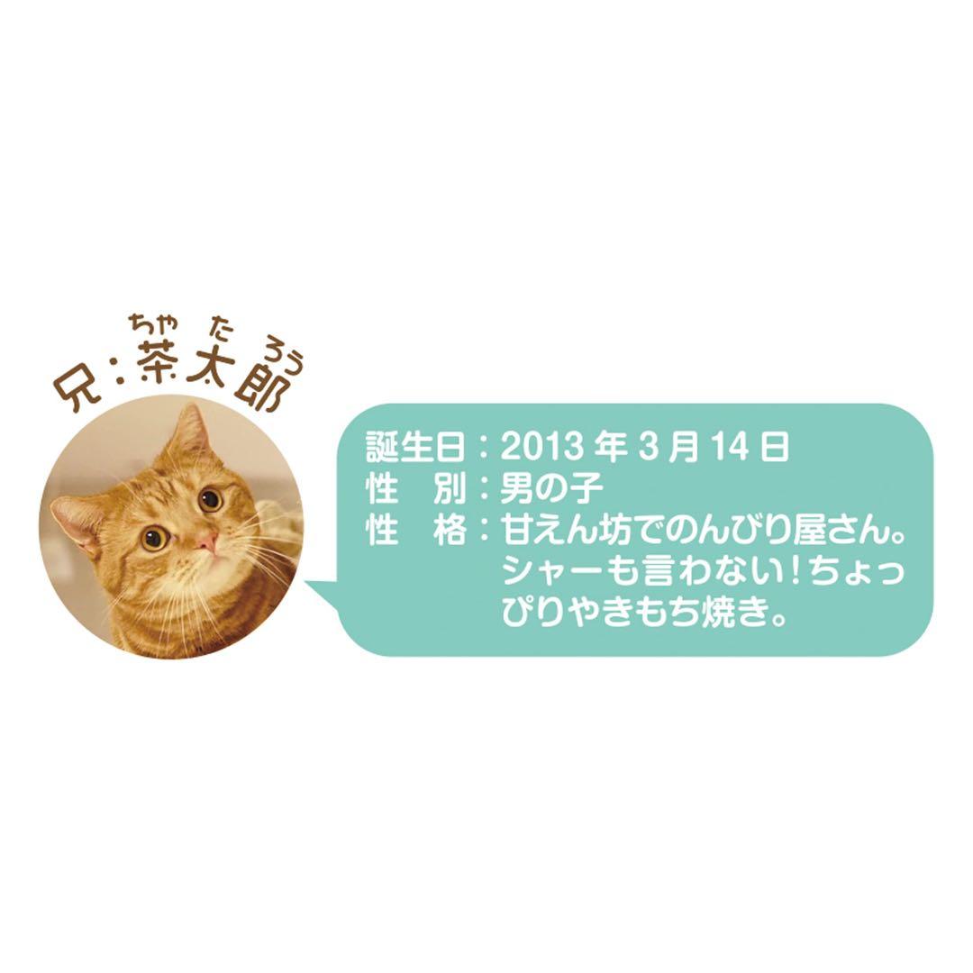 2023年 茶太郎ときなこ 壁掛け カレンダー - メルカリ