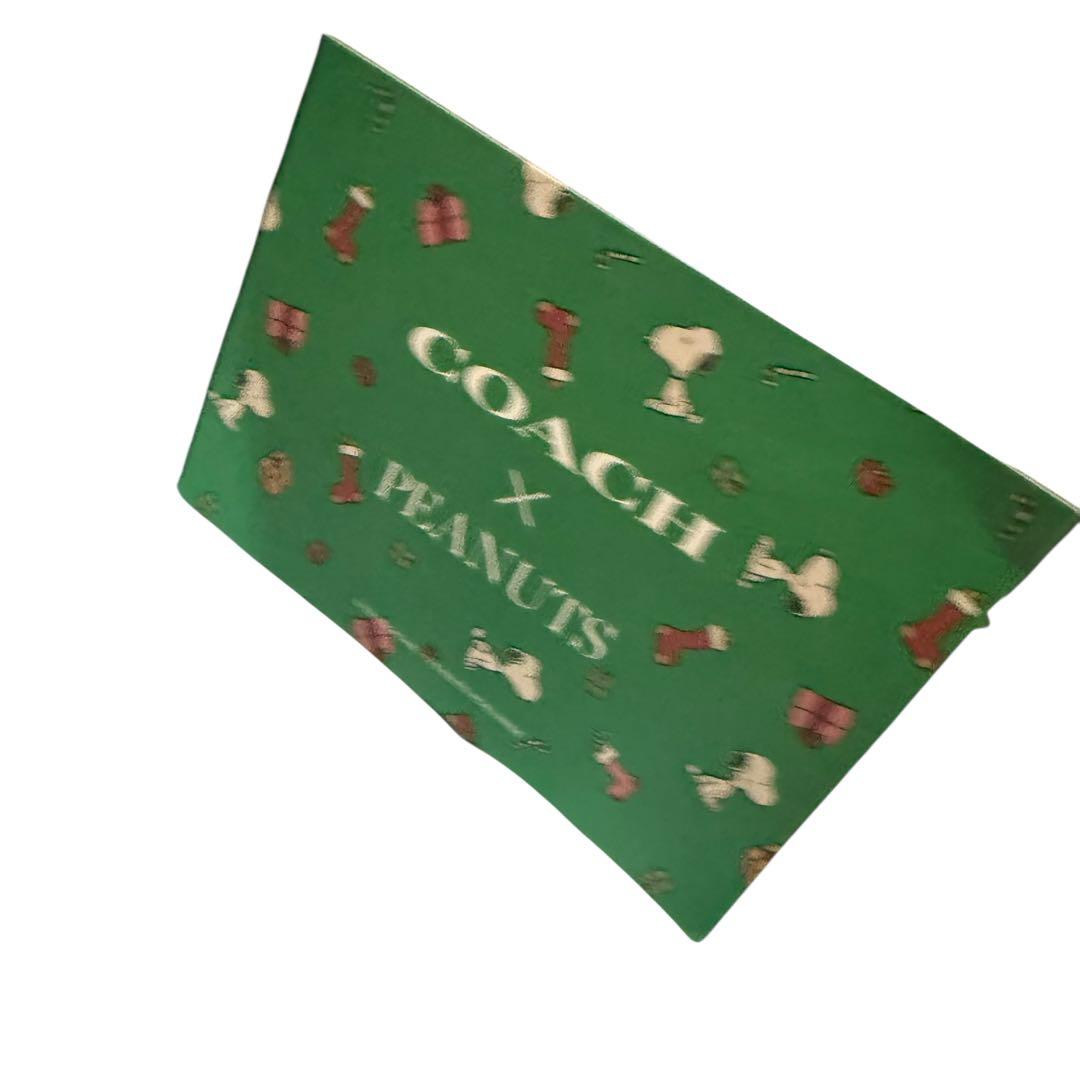 限定品【DISNEY X COACH】ディズニー コーチ コラボ アースラ