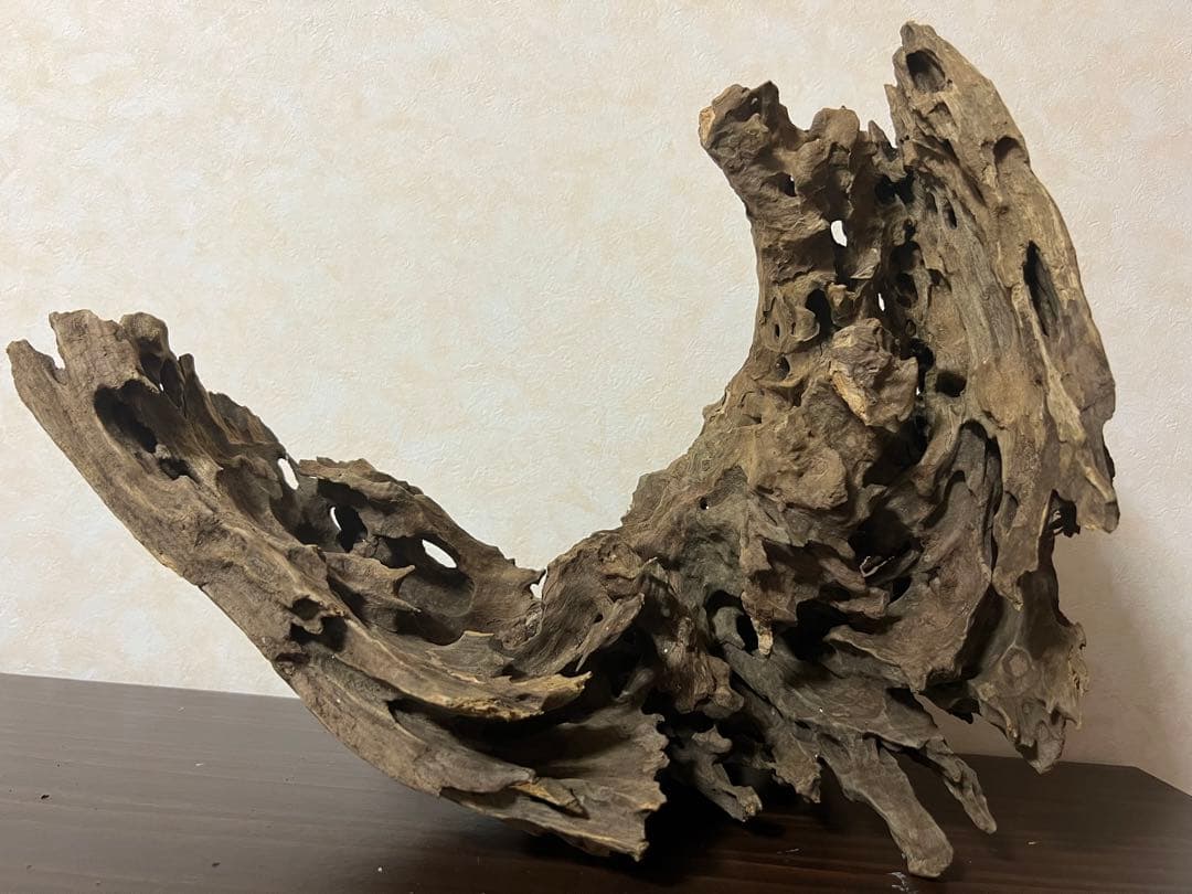 XM-321 流木マシンガンウッド ブランチウッド アクアリウム 沈水確認済