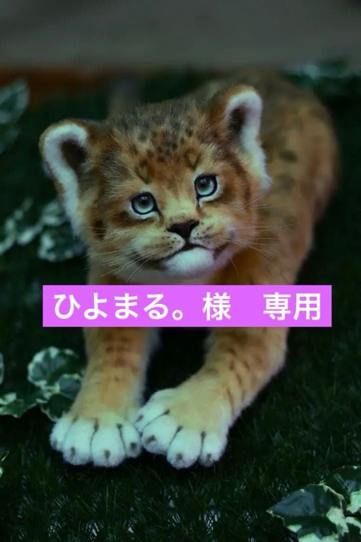 最終価格】海外作家様作 アートドール ライオンの子供 - メルカリ