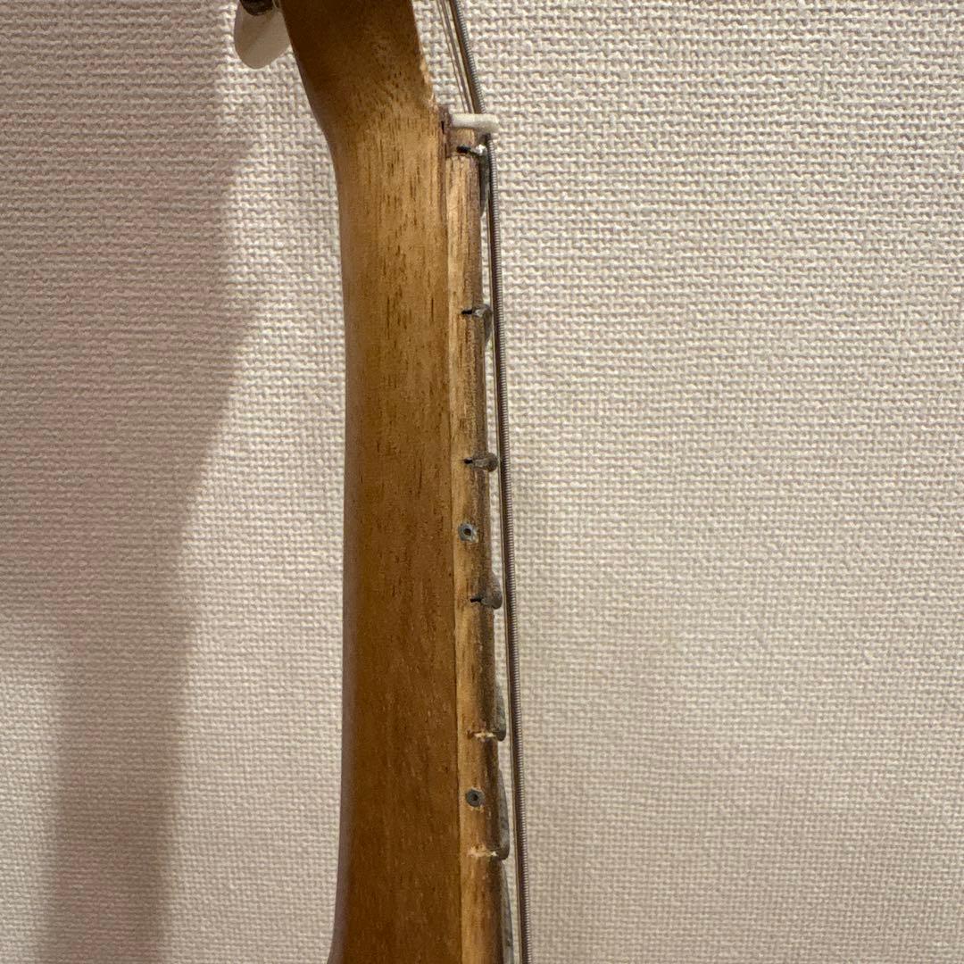 バジコ（フラットマンドリン）•ケース