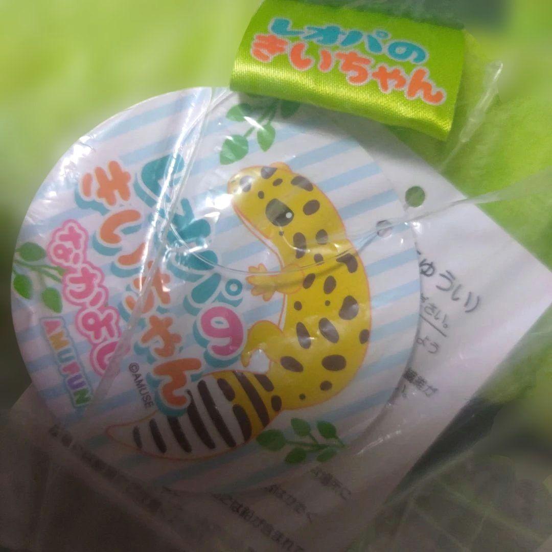 【レオパのきいちゃん】なかよし るんるん気分 ウルトラBIG JB ぬいぐるみ