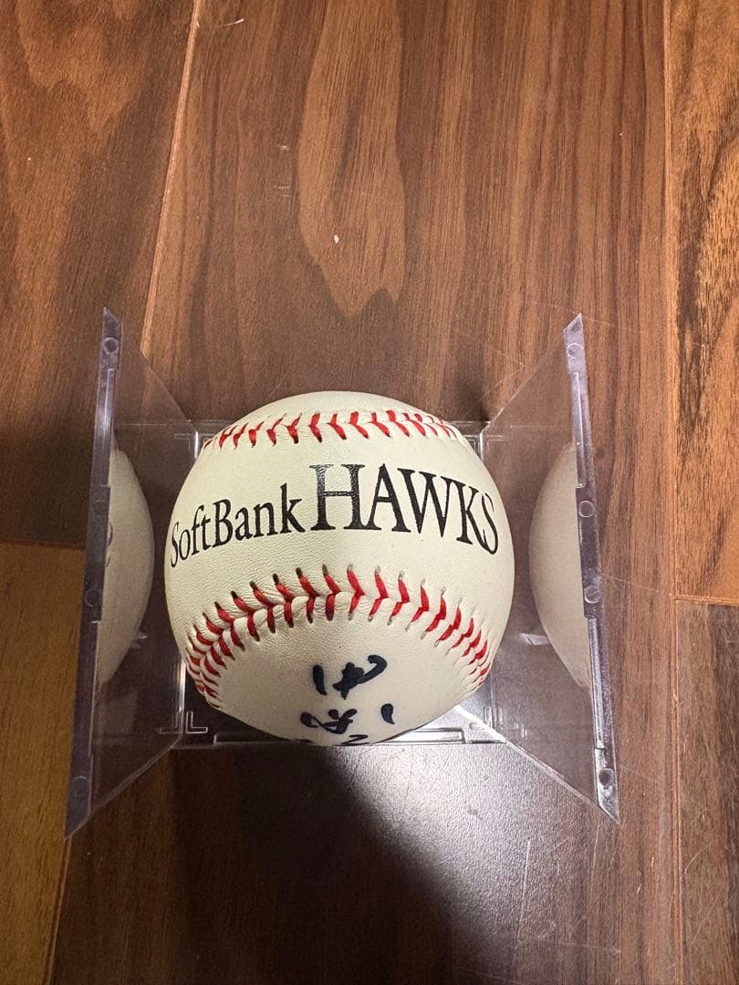 甲斐拓也 投げ込み 直筆 サインボール ジャイアンツ 甲斐 拓也