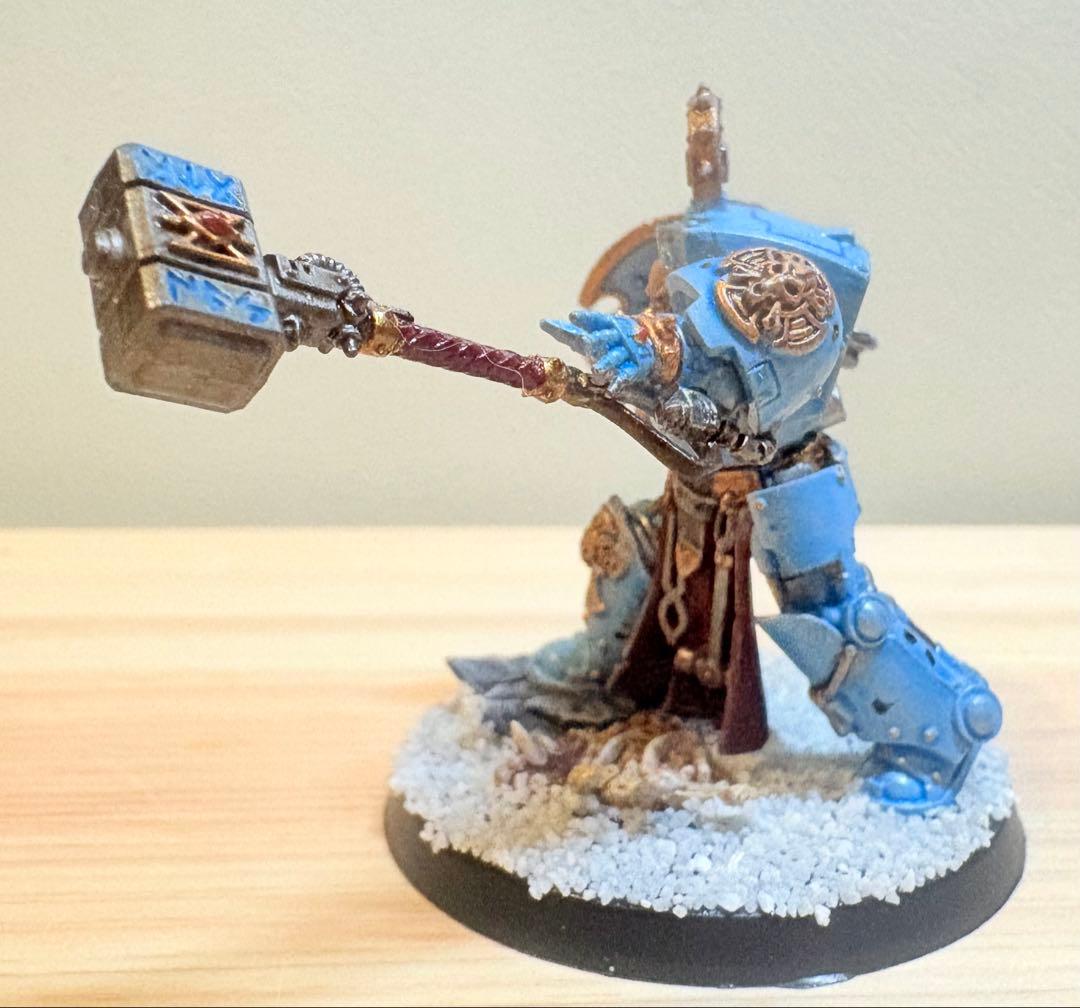 A*k様 Warhammer 40k スペースウルフ 3種 塗装済み完成品ハイグ