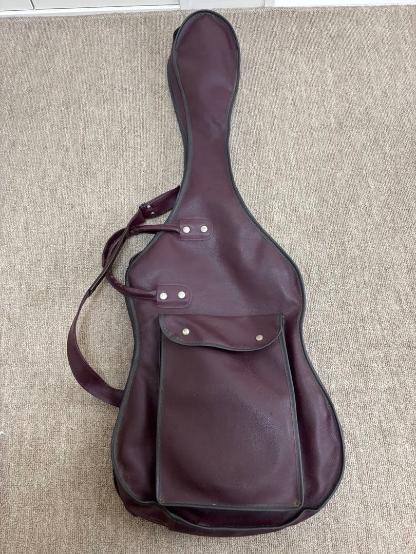 Epiphone Les Paul ギターケース セット ジャンク扱い
