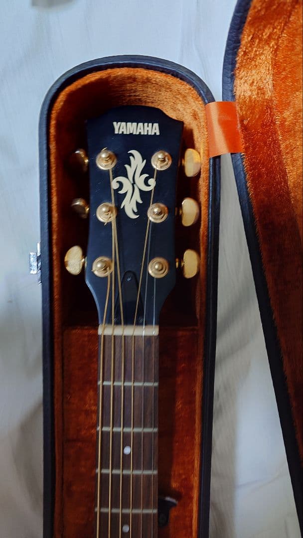 apx-6a YAMAHA　エレアコ