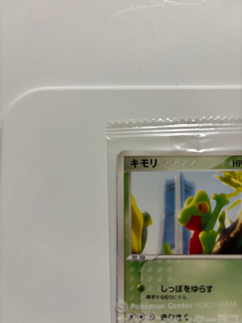 キモリ 037/PCG-P 2004 ポケモンセンター