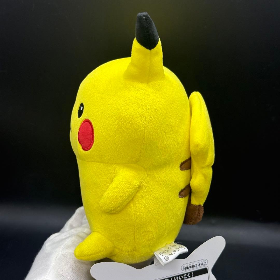 ポケモン　24じかんポケモンCHU ピカチュウ　ナガノ　ぬいぐるみ　ちいかわ