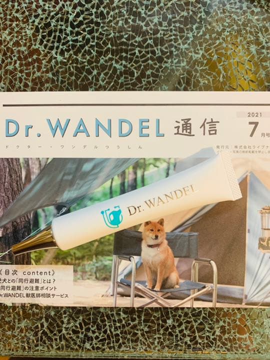 ドクターデンタルワン 犬用口腔ジェル 30gプレーン味 5本セット Dr