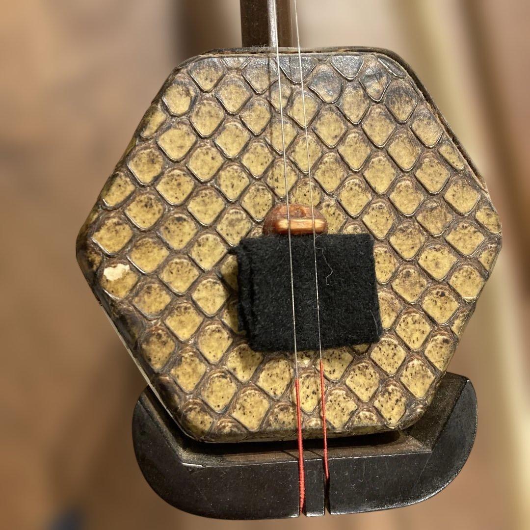 まよ 二胡 弦楽器　リュックケース付き