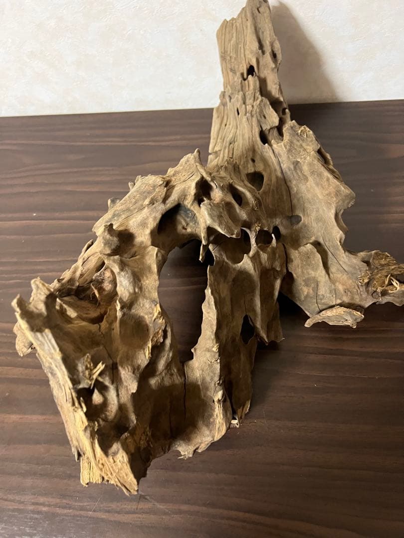 XM-198 流木 マシンガンウッド アクアリウム ブランチウッド 沈水確認済