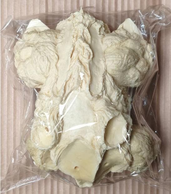 海洋堂 酒井ゆうじ原型 デスギドラ モスラ レジンキャスト ガレージキット