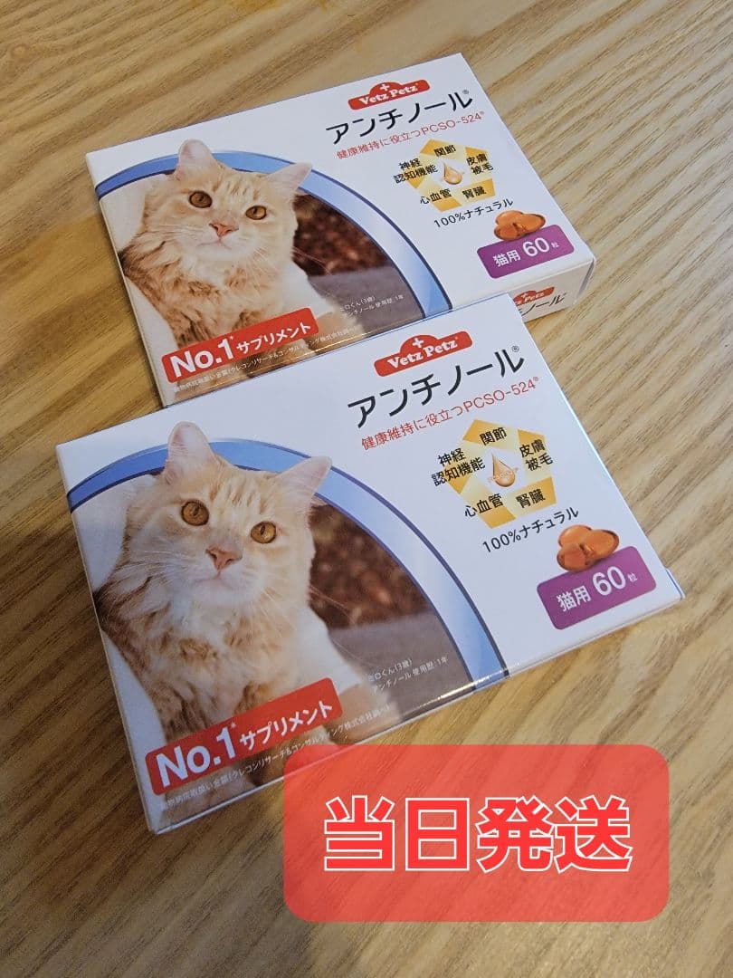 アンチノール60粒2箱 - 猫用品アウトレット ショップ