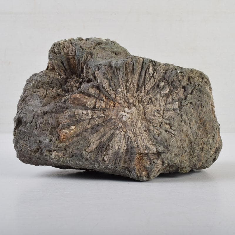 天然石 鑑賞石 菊花石 置物 重さ約1929g C 8881