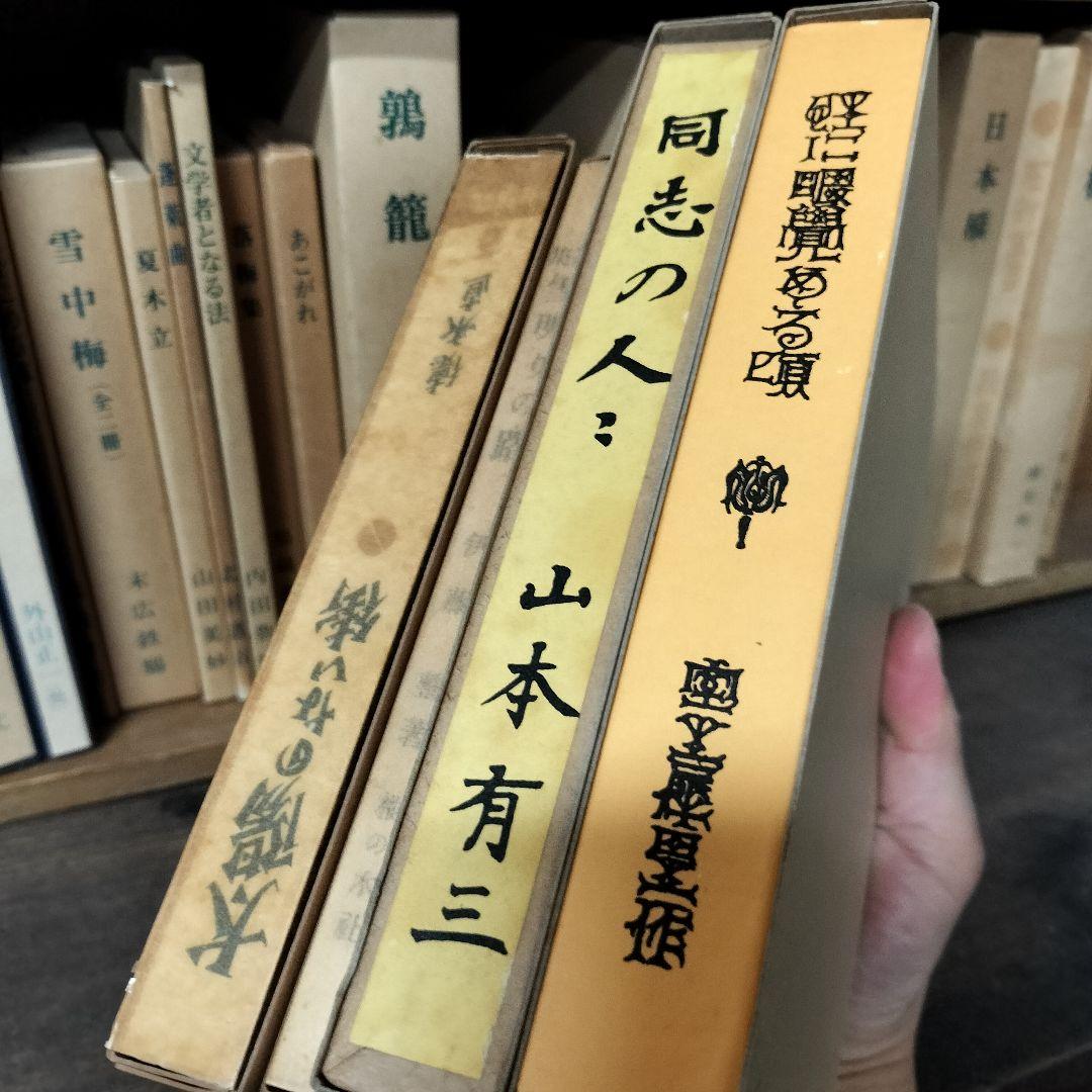 特選 名著複刻全集 近代文学館 30冊セット + 作品解題+ 付録