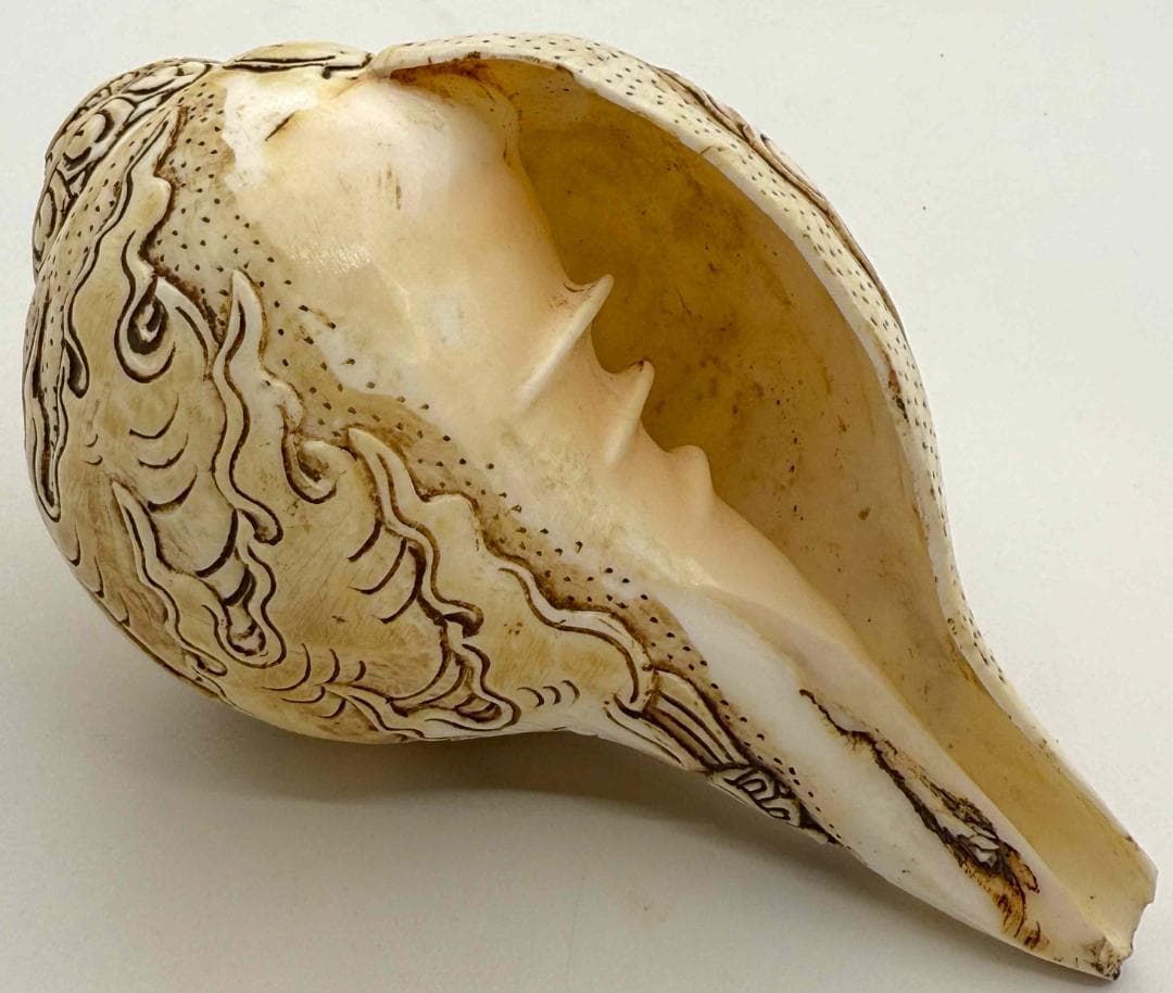 チベット密教法具 法螺貝（シャンカ）チティパティ-2