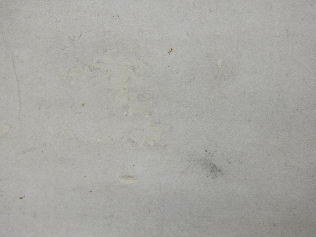 立原杏所筆　紙本直幅　牡丹之図　雪城極箱　M1512