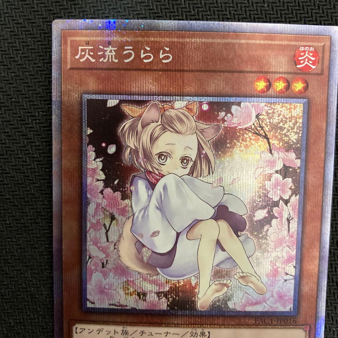 遊戯王　汎用娘　　絵違い　プリズマ　プリシク　4枚セット