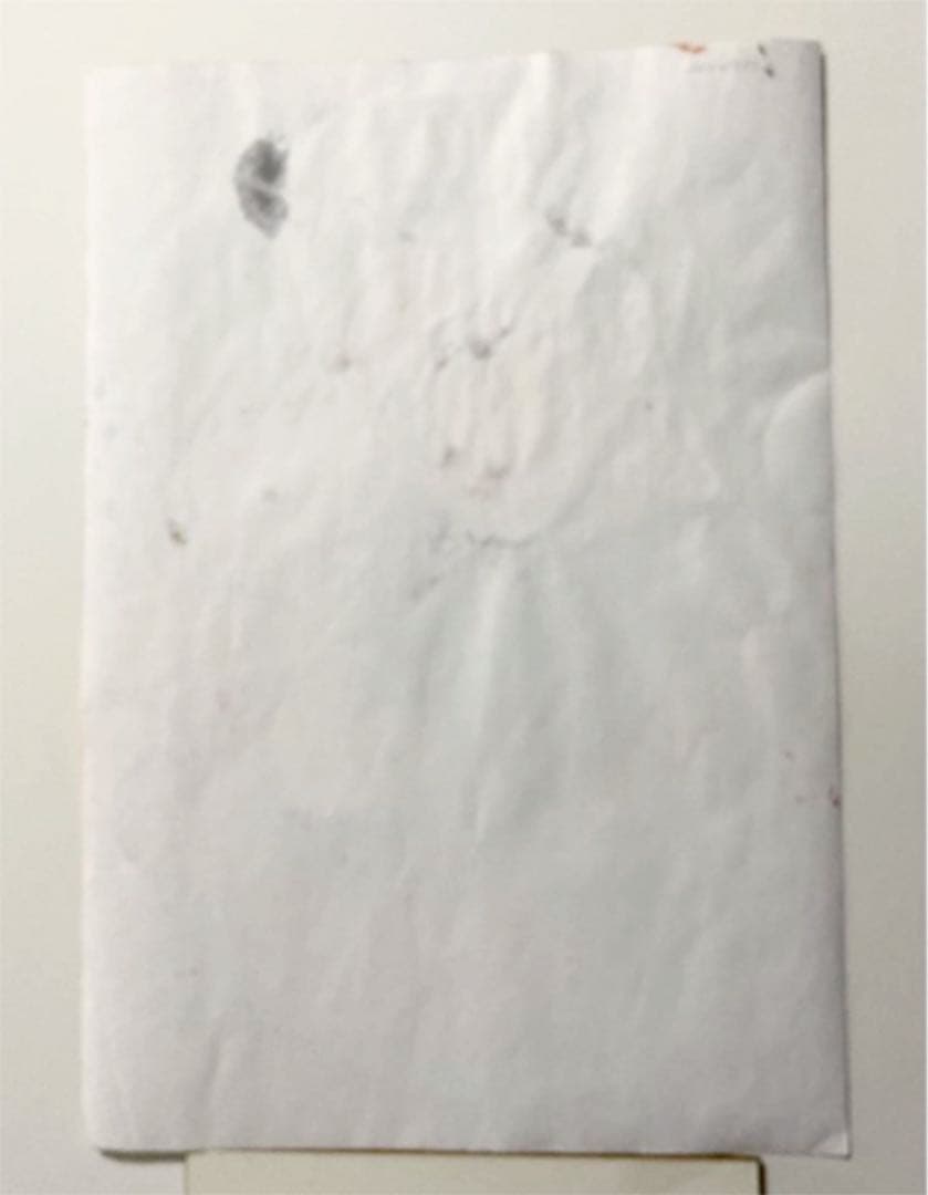 水彩画　ラファエロの聖母子の模写