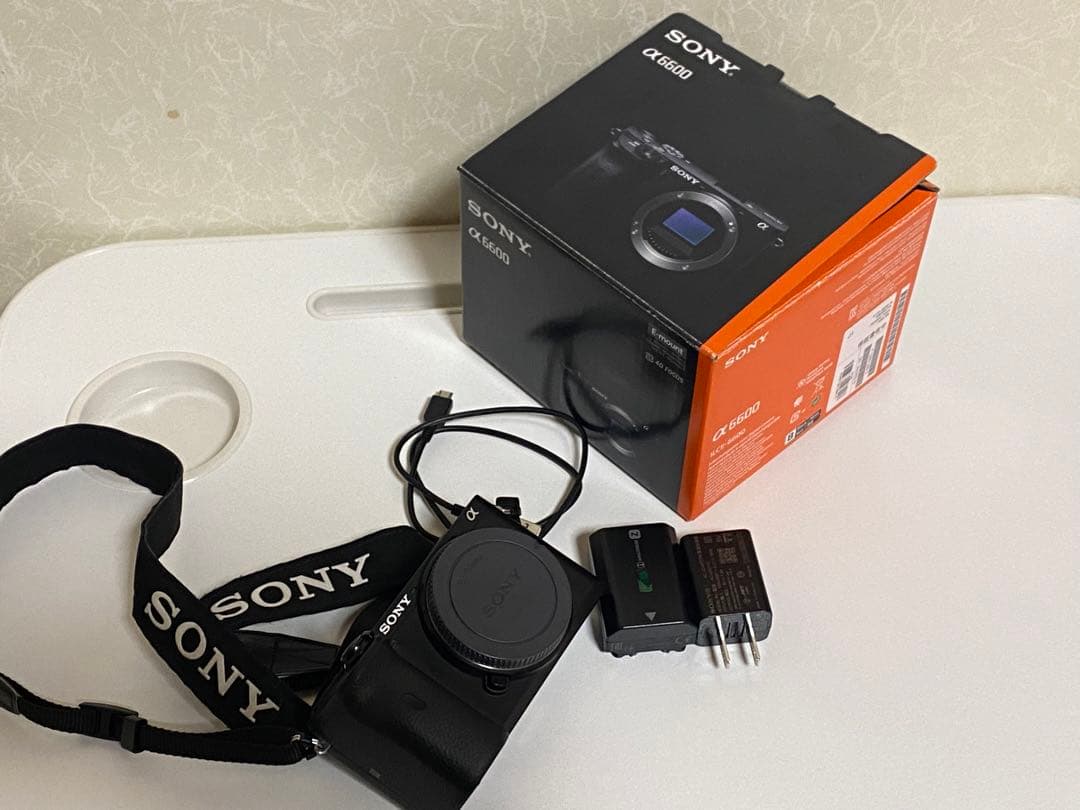 Sony a6600 - ビデオカメラヴィンテージ 通販