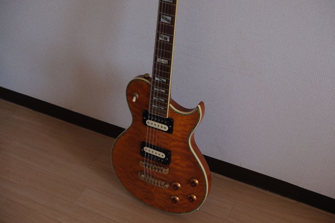 Aria Pro Ⅱ PE-Anniversary 限定モデル ハードケース付属