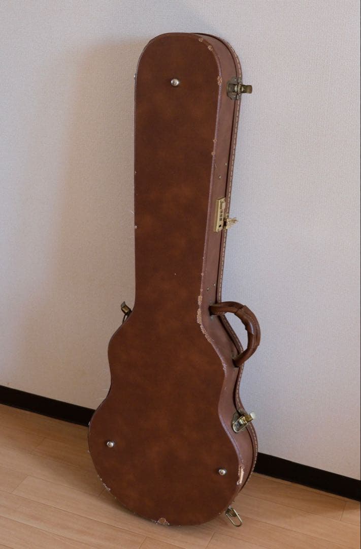 Aria Pro Ⅱ PE-Anniversary 限定モデル ハードケース付属