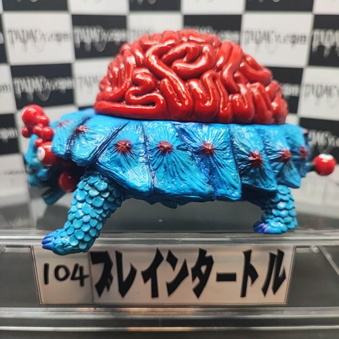 104ブレインタートル