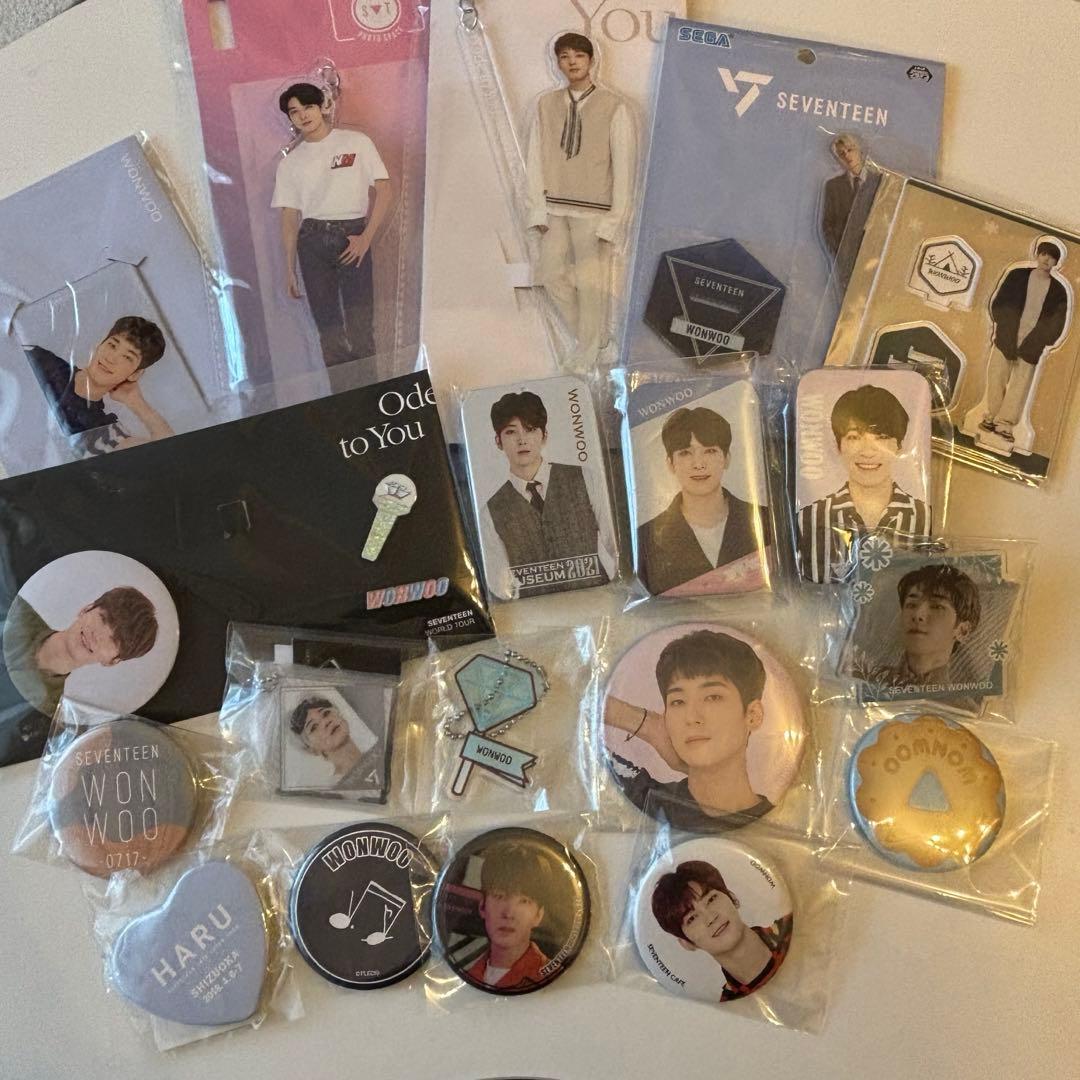 SEVENTEEN ウォヌWONWOO ワッペンバッジアクスタ缶バッジ