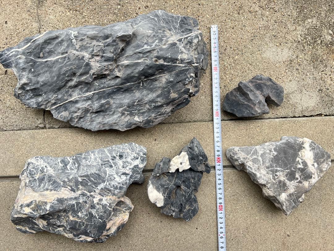 水槽用石 5個セット 竜王石 MSS-5697青龍石レイアウトセット 酸処理