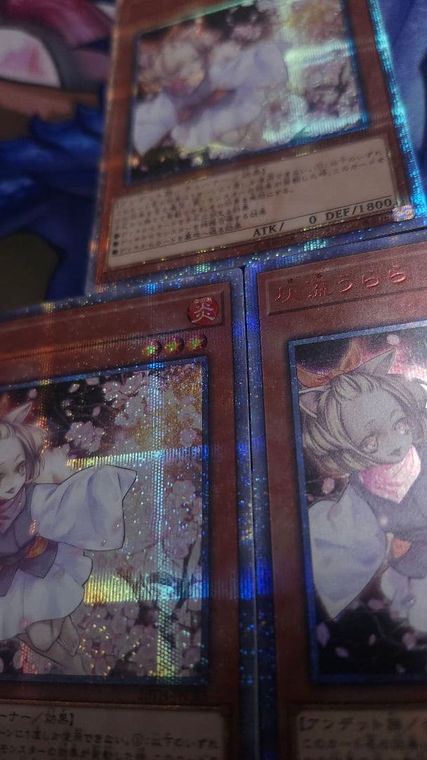 遊戯王 灰流うらら 20thシークレット 3枚セット 20TH 希少 手札誘発